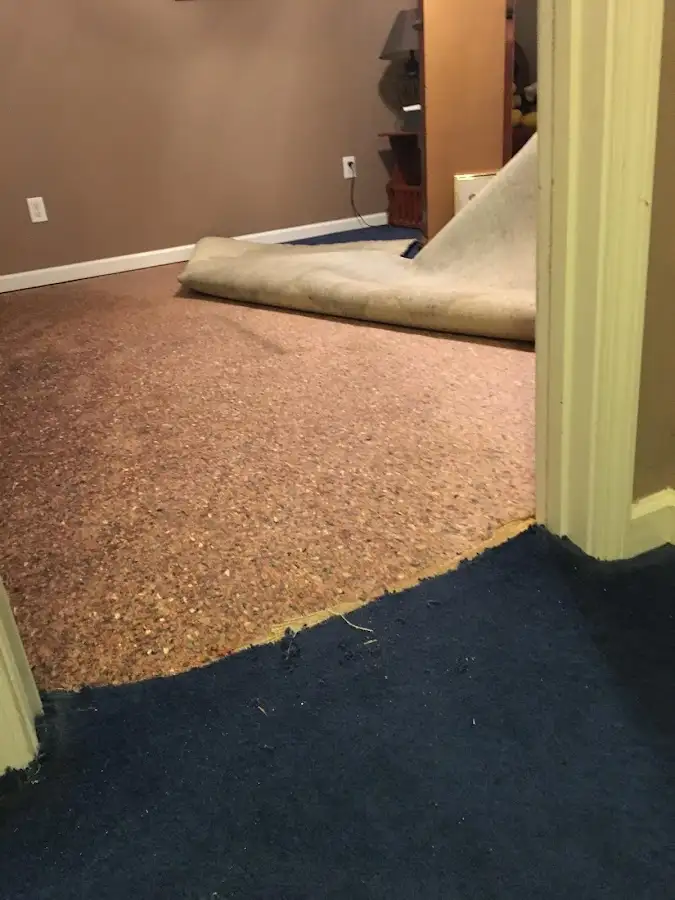 Carpet pad removal revealing water damage during Drying & Dehumidification in Maple Valley