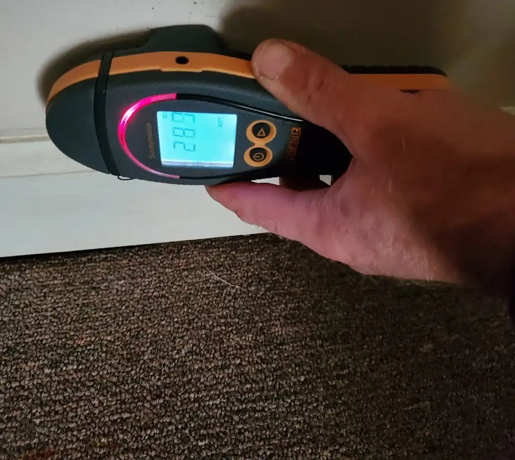Moisture detection at baseboard during Sewage Cleanup & Sanitation in Maple Valley